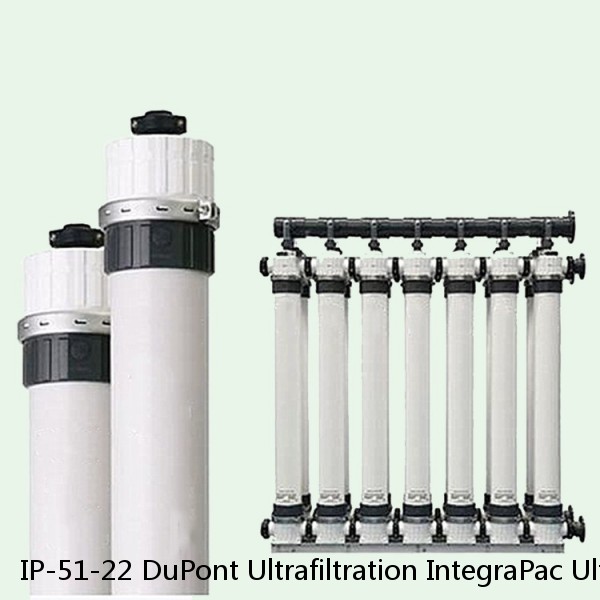 IP-51-22 DuPont Ultrafiltration IntegraPac Ultrafiltration Skid #1 image